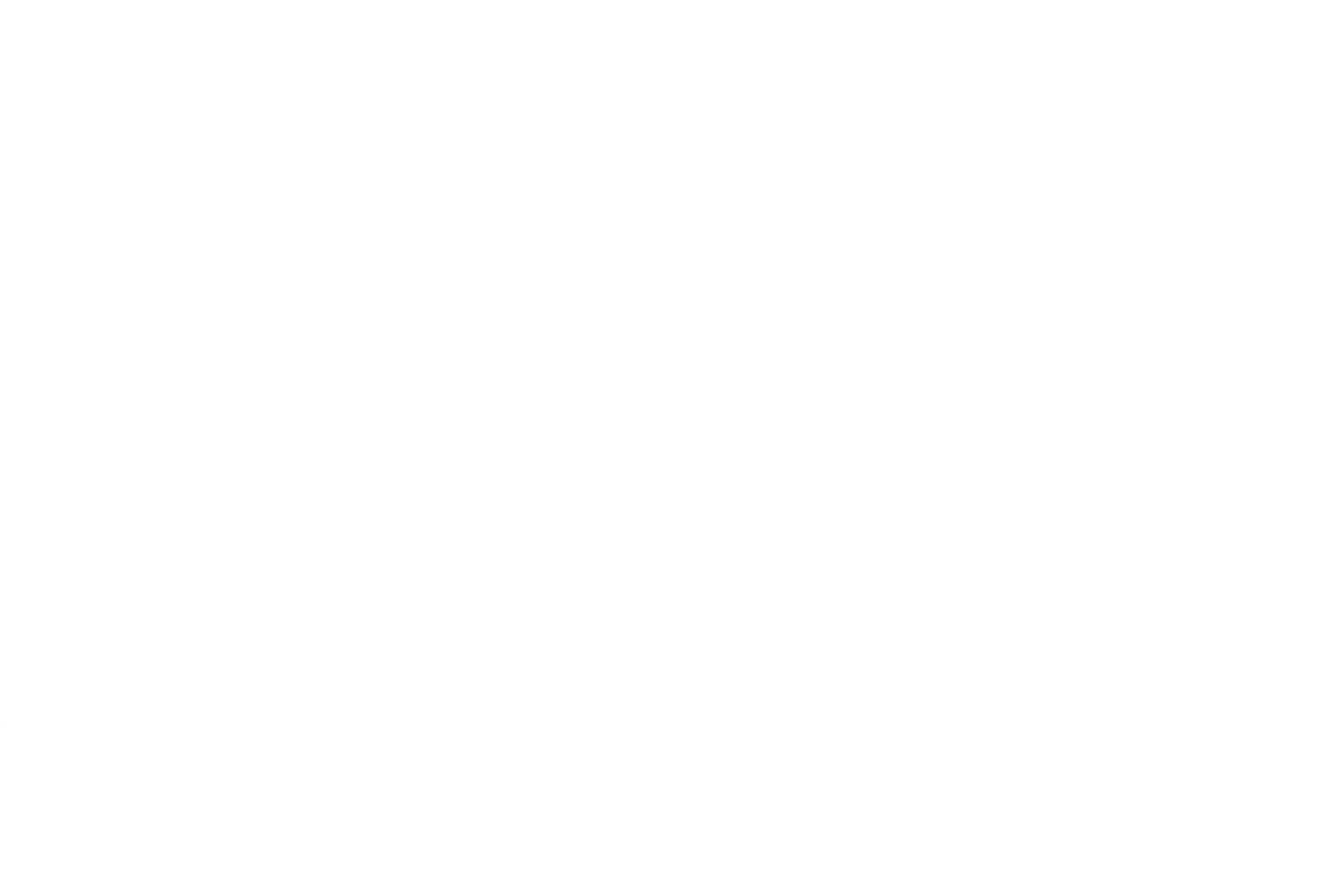 Illustrated panorama of Melbourne in white linework.