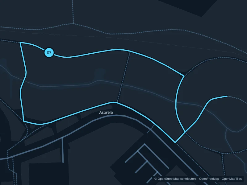 Map of the 2.1 km Parque da Asprela run, with start and finish marked 03.