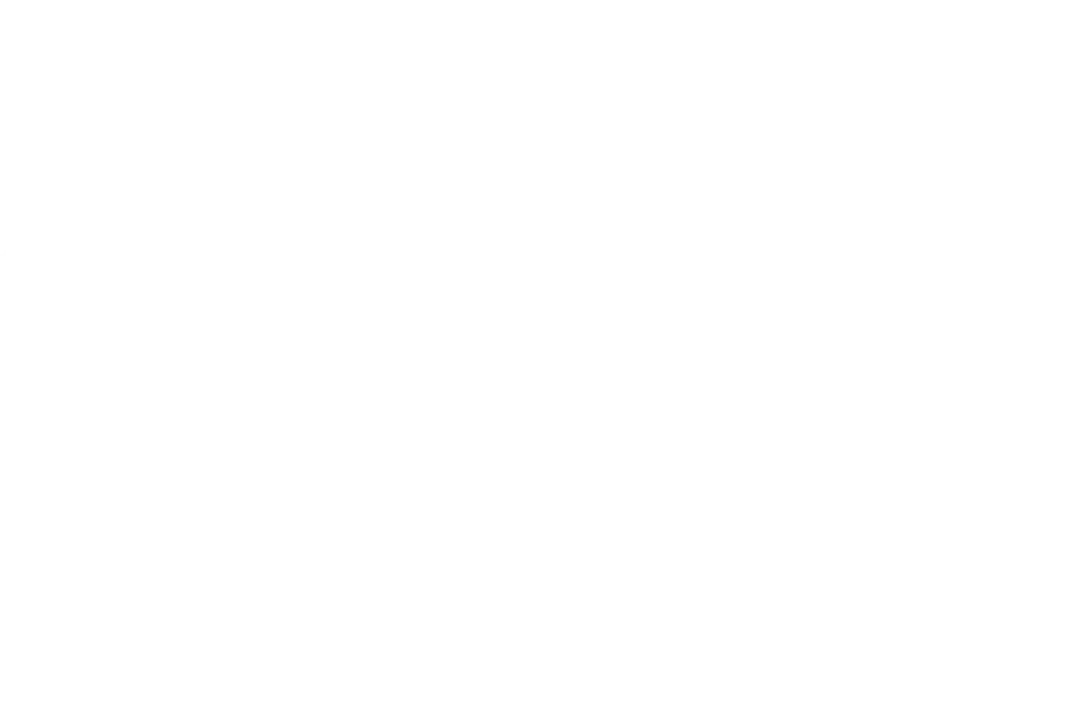 Illustrated panorama of Sydney in white linework.