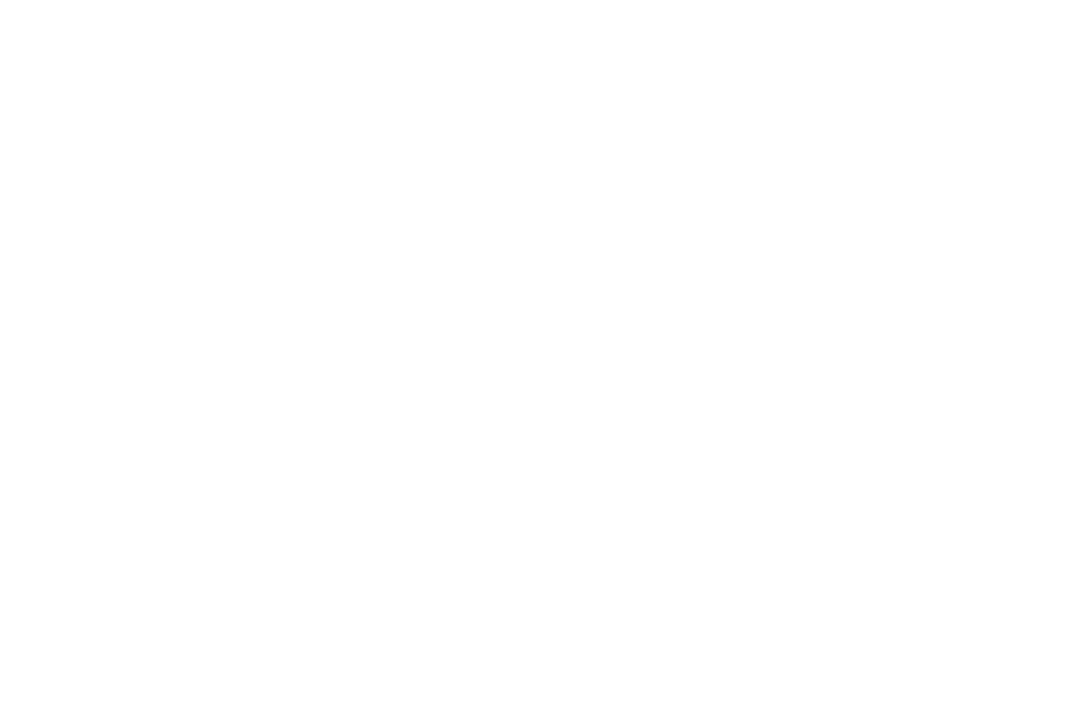 Illustrated panorama of Turin in white linework.
